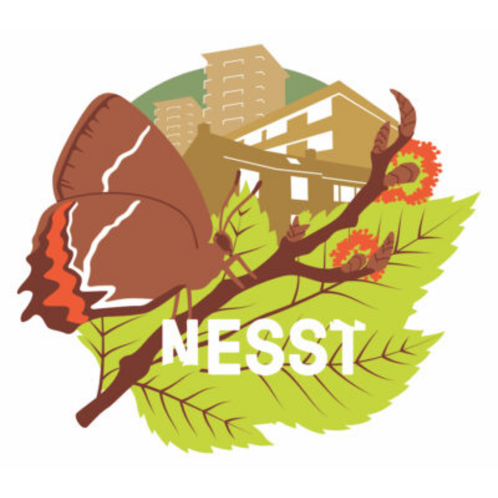 NESST logo