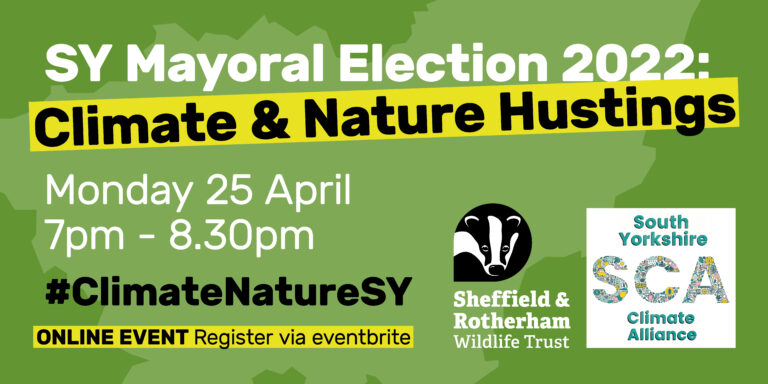 south yorkshire mayoral election 2022