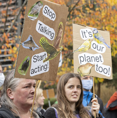 rspb nature wildlife campaigners